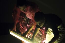 KOMA & Ko – Magdalena Weniger