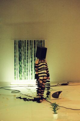 KOMA & Ko – Magdalena Weniger